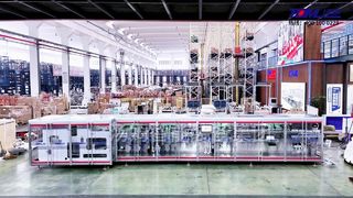 DSJ-300-2 Πλήρης Servo οριζόντια μηχανή συσκευασίας φιλμ σε ρολό